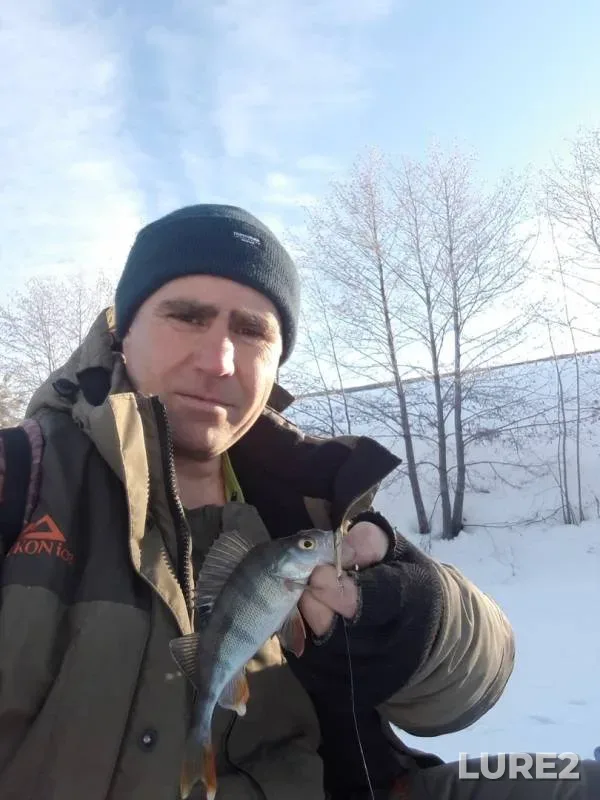 Perch — Koldais, Mar 30, 2019