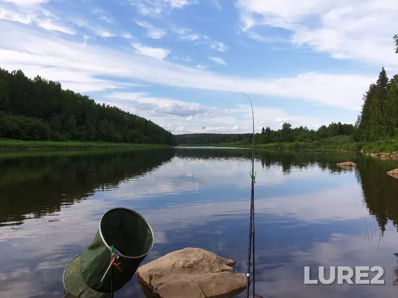 Bream, Chub — Chusovaya, Jun 25, 2019