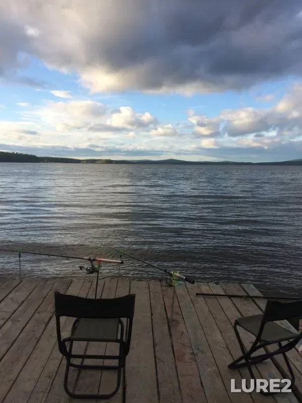 Bream, Perch — Chernoistochinskiy, Jun 13, 2019