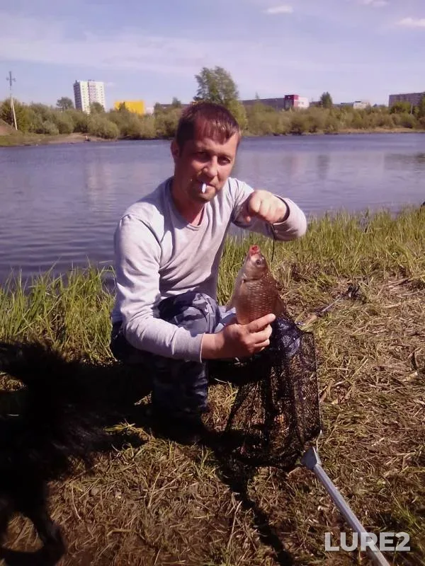 Crucian carp — Tagil, Jun 02, 2019