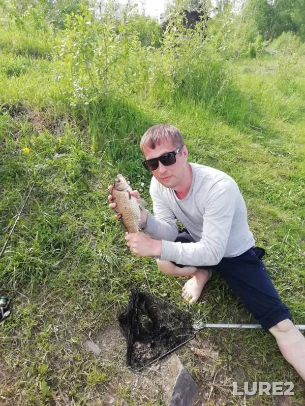 Crucian carp — Tagil, Jun 04, 2019