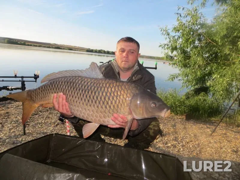 Carp — Golodyayevskiy, Jun 17, 2018