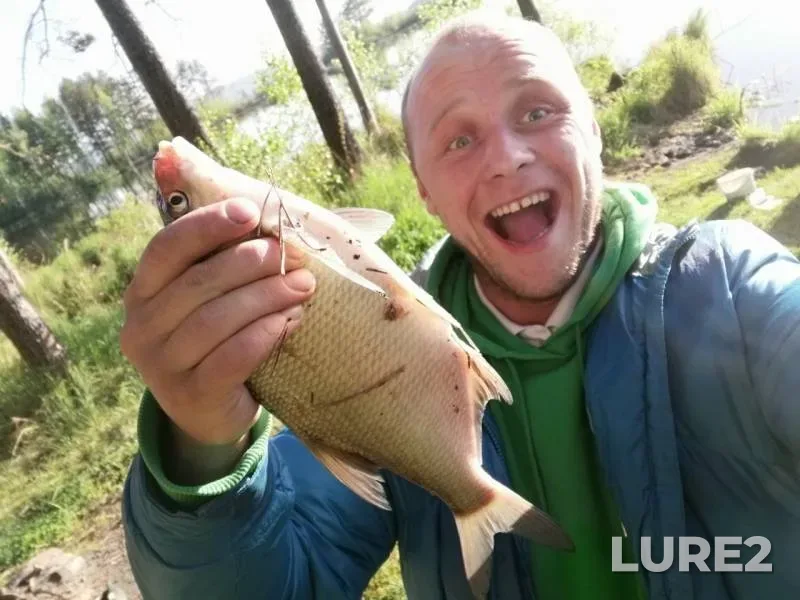Bream, Roach — Chernoistochinskiy, May 30, 2019