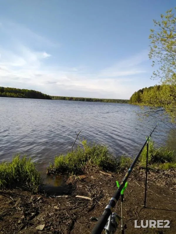 Bream, Roach — Tagil, May 27, 2019