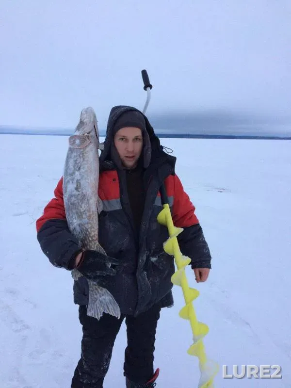 Pike — Otradnoye, Jan 28, 2017