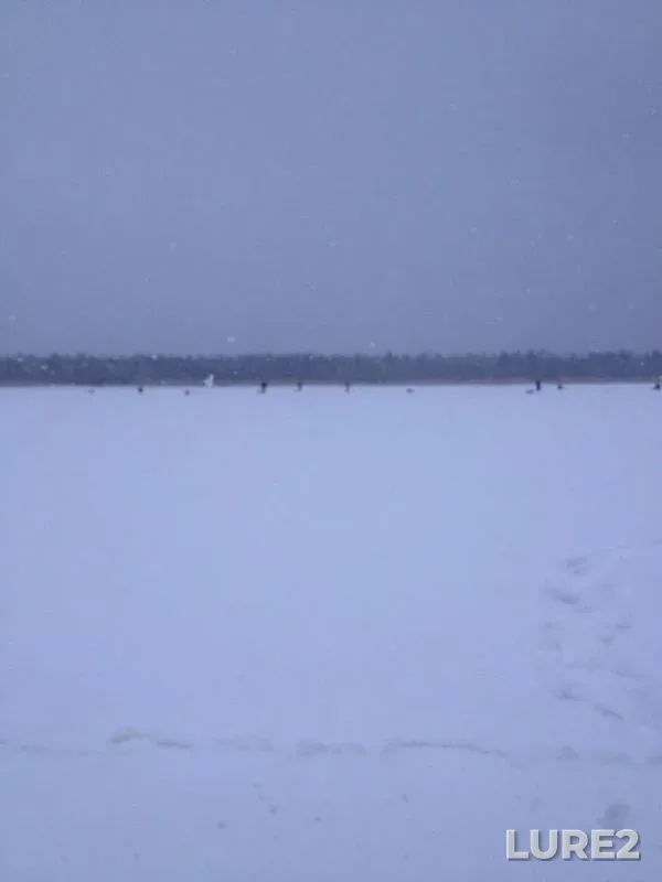 Perch — Novoladozhskiy kanal, Jan 12, 2014