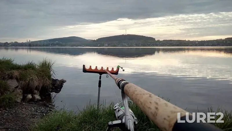 Bream, Perch — Chernoistochinskiy, May 22, 2019