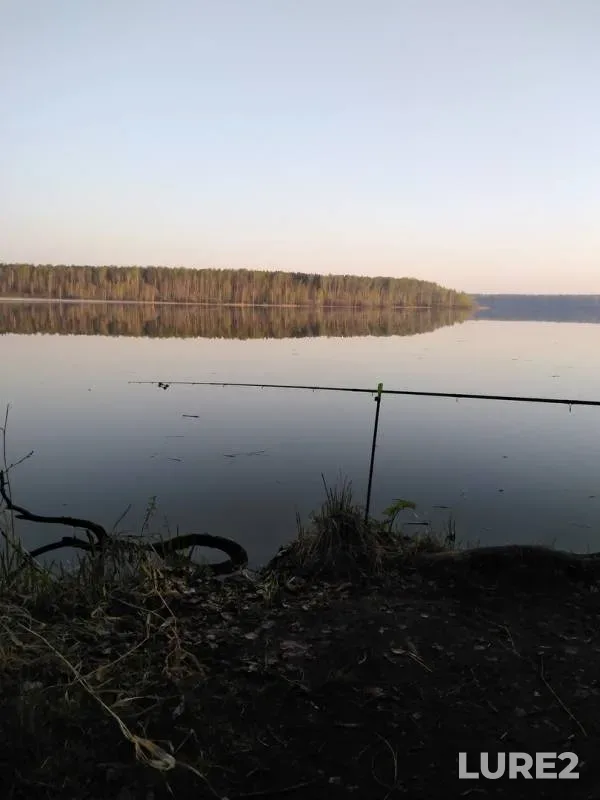 Bream — Tagil, May 12, 2019