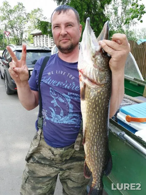 Pike — Ilmen, Oct 04, 2019