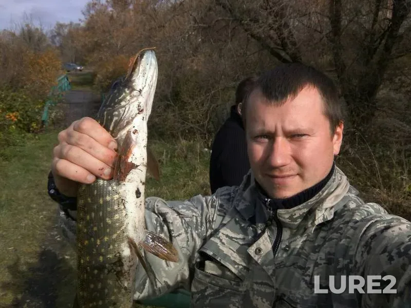 Pike — Penzenskaya oblast, Oct 14, 2017