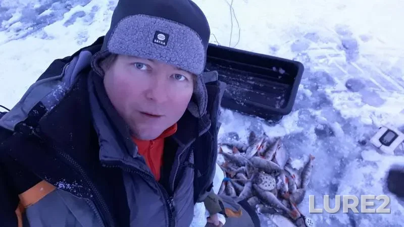 Perch — Leningradskaya oblast, Kirovskiy rayon, Dec 24, 2018