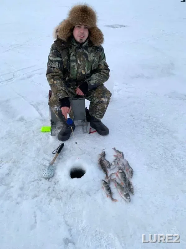 Perch — Leningradskaya oblast, Kirovskiy rayon, Dec 20, 2018
