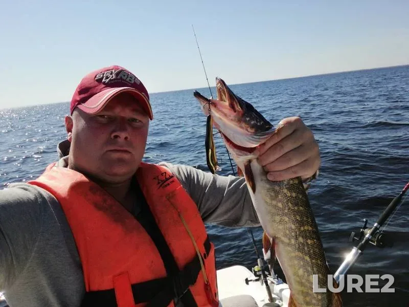Pike — Leningradskaya oblast, Vsevolozhskiy rayon, May 27, 2018