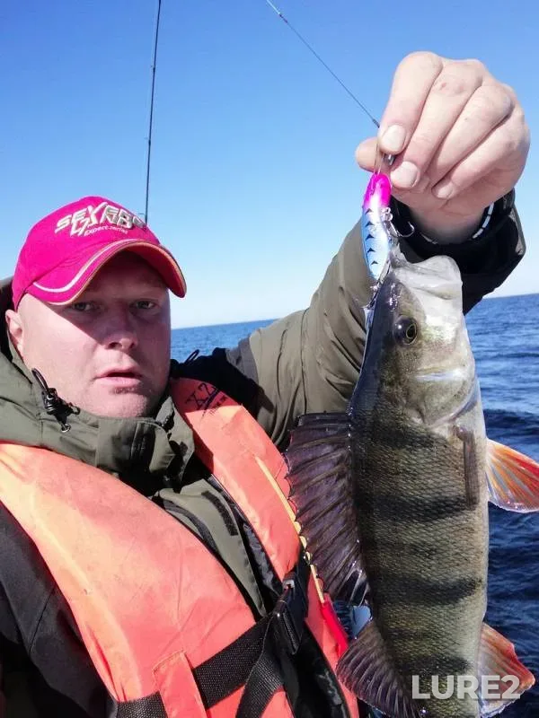 Perch — Leningradskaya oblast, Kirovskiy rayon, May 12, 2018