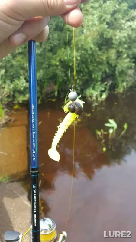 Pike — Kosopasha, Jul 19, 2017