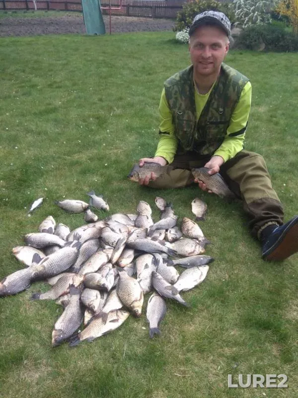Crucian carp — Chervonoye, Apr 28, 2019