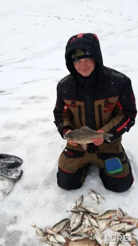 Bream, Crucian carp — Yarinskiy zaton, Nov 19, 2019