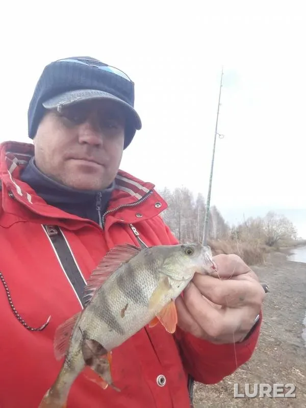 Perch — Penzenskaya oblast, Kuznetskiy rayon, Oct 23, 2019