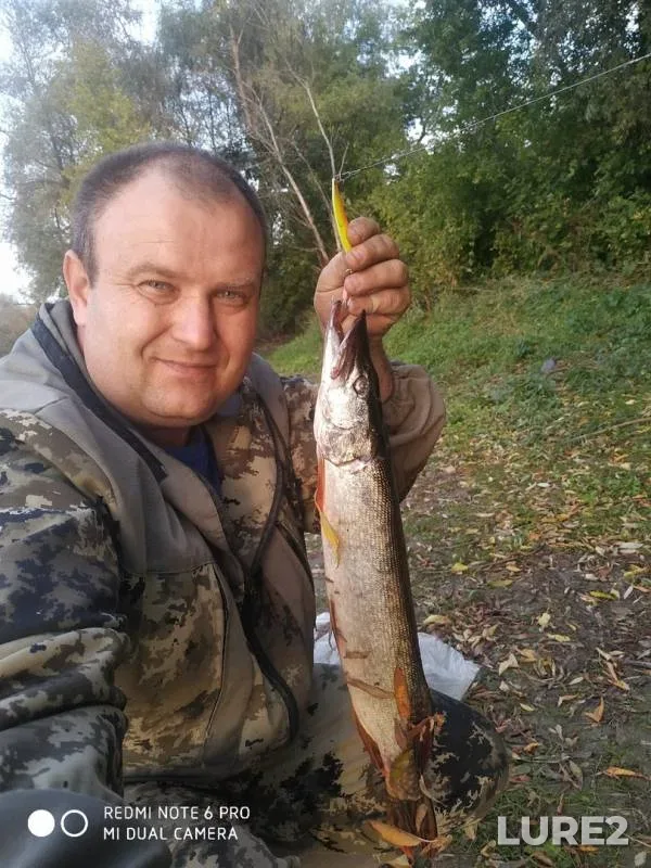 Pike — Om, Sep 27, 2019