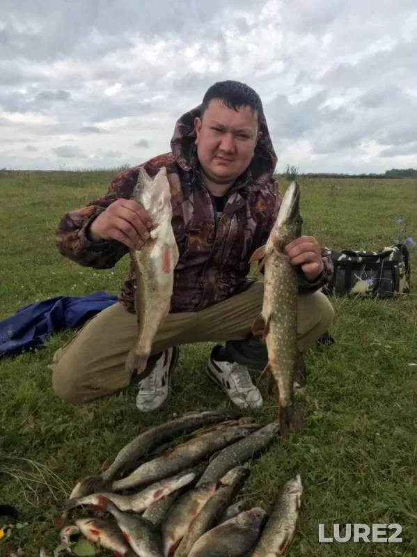 Perch, Pike — Belaya, Sep 27, 2019
