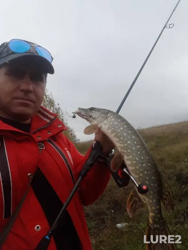 Pike — Koldais, Oct 04, 2019