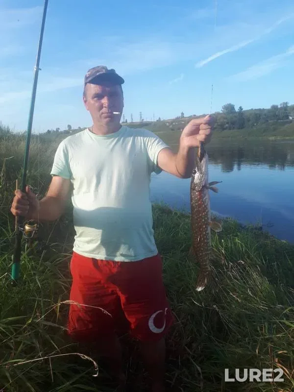 Pike — Volga, Aug 31, 2019