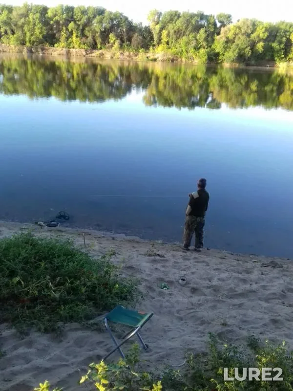 Zander — Astrakhanskaya oblast, Krasnoyarskiy rayon, Aug 30, 2019