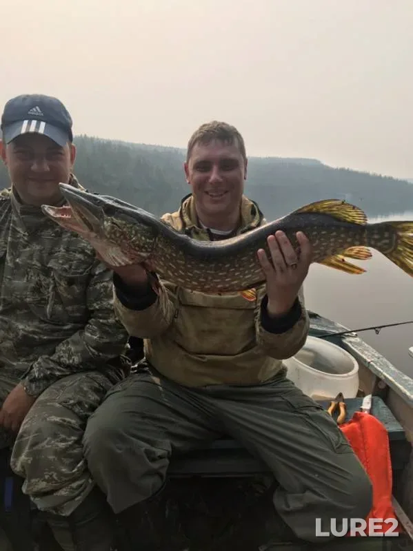 Pike — Ilim, Aug 18, 2019