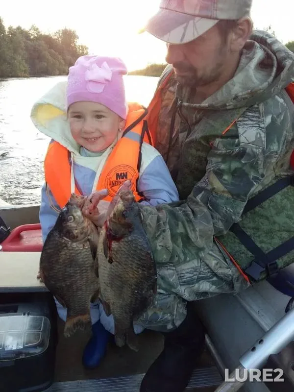 Crucian carp — Novoladozhskiy kanal, Aug 12, 2019