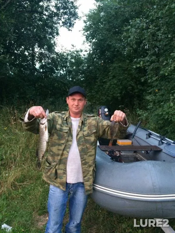 Perch, Pike — Oyat, Aug 12, 2019