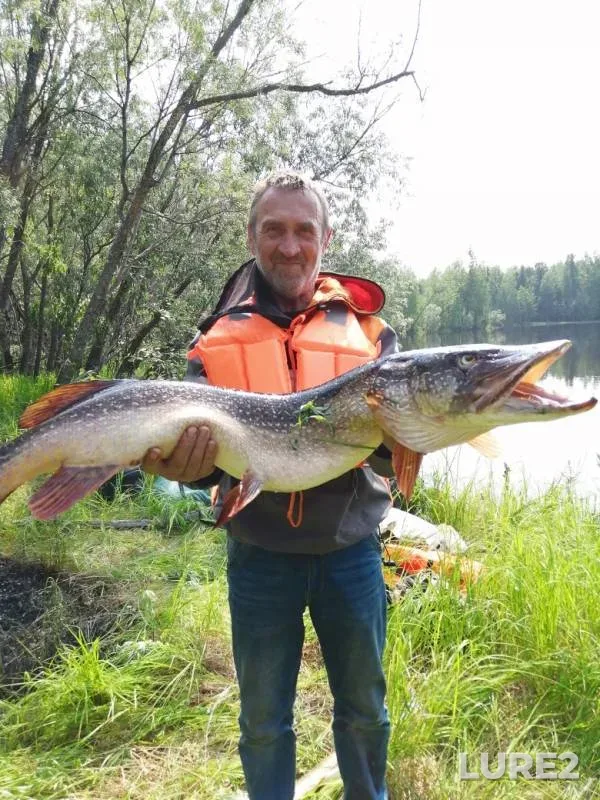 Pike — Kolekyegan, Jul 20, 2019