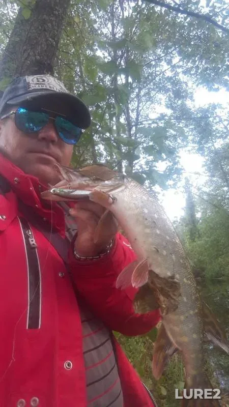 Perch, Pike — Sura, Sep 15, 2019