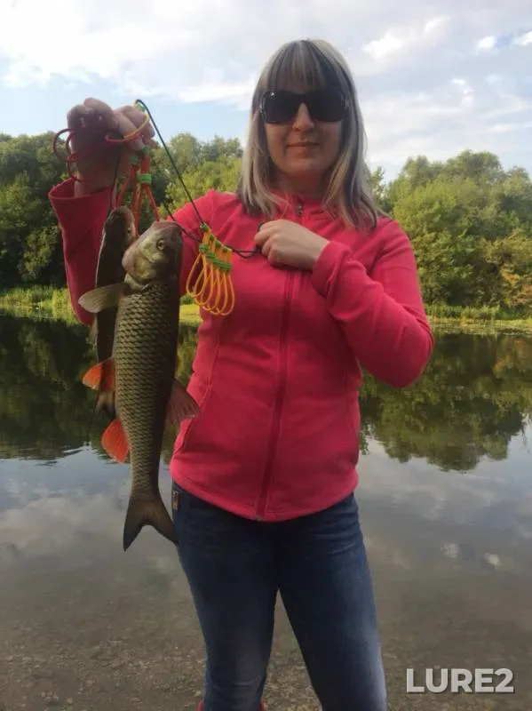 Chub, Perch — Zusha, Jun 15, 2019