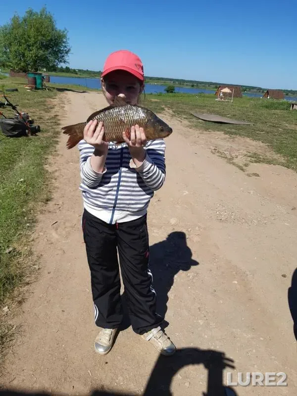 Carp — Lob, Jun 05, 2019