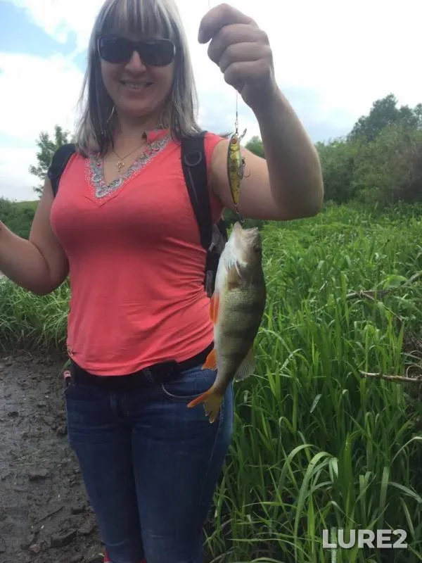 Chub, Perch — Zusha, Jun 03, 2019
