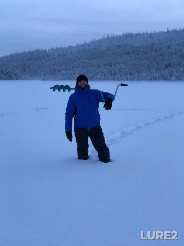 Burbot, Perch — Polo, Mar 13, 2019