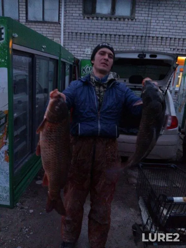 Pike — Volgogradskaya oblast, Mar 10, 2019