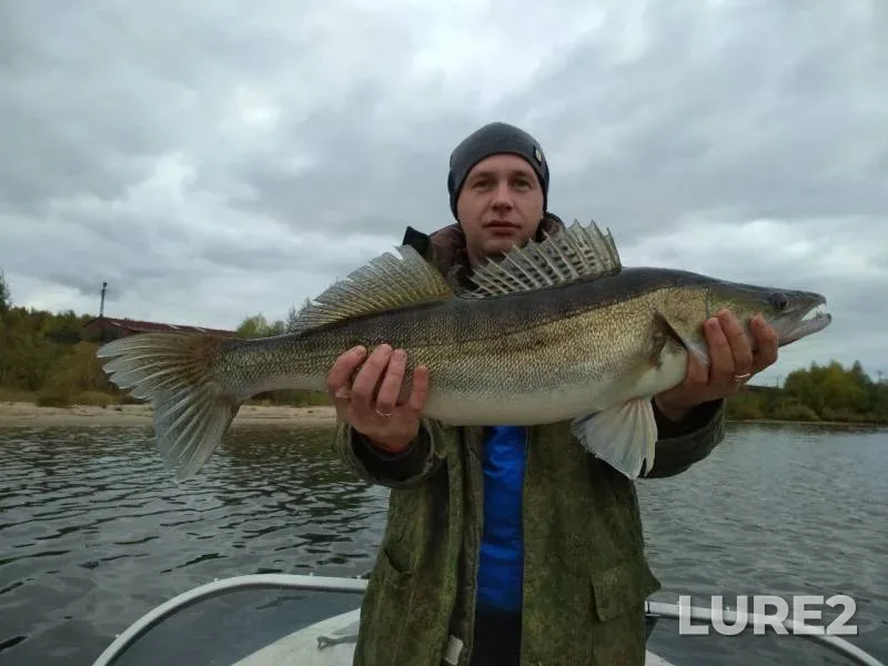 Zander — Volga, Sep 29, 2019