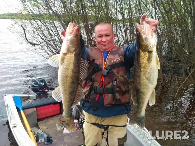 Zander — Vychegda, Jun 02, 2019