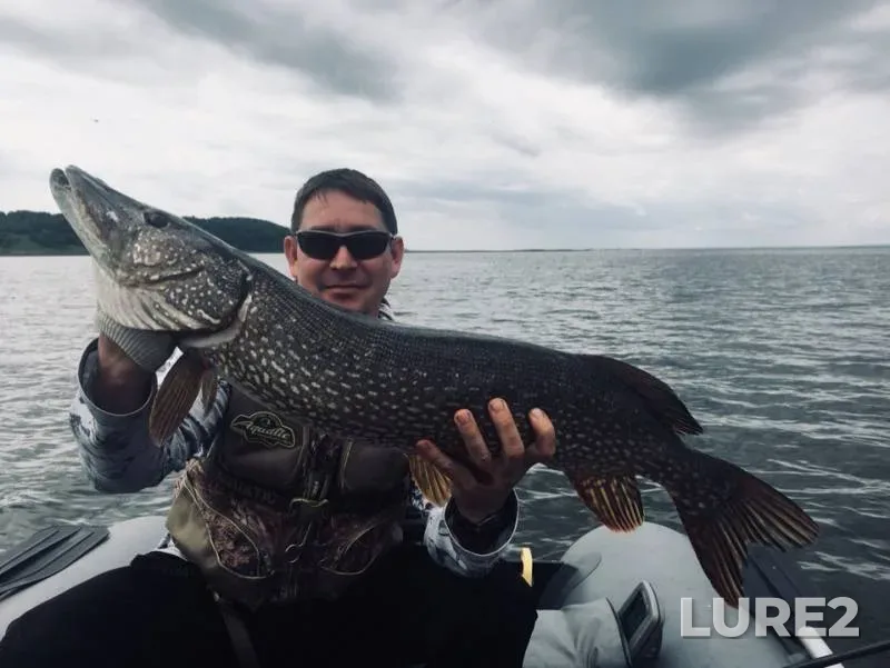 Pike — Ik, Jun 07, 2019