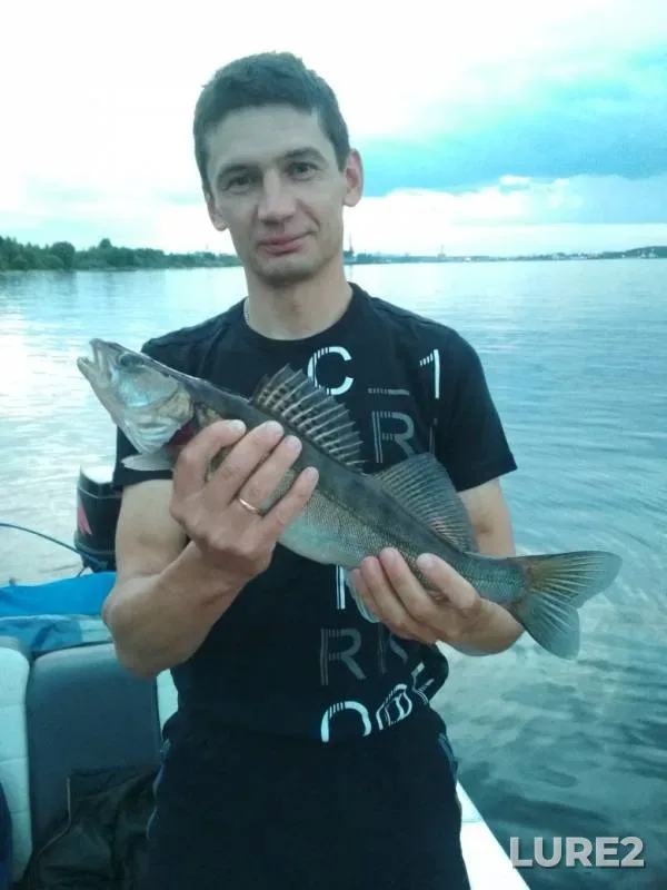 Zander — Volga, Jul 24, 2019