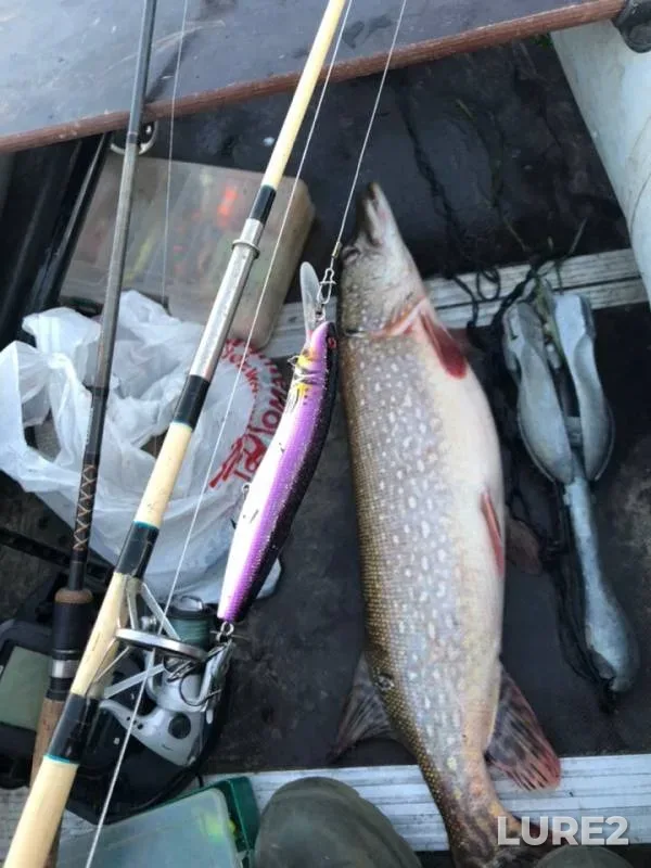 Pike — Oka, Oct 13, 2018