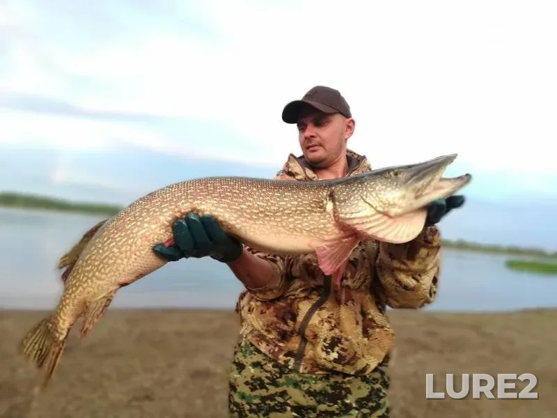 Pike — Kama, Aug 22, 2018
