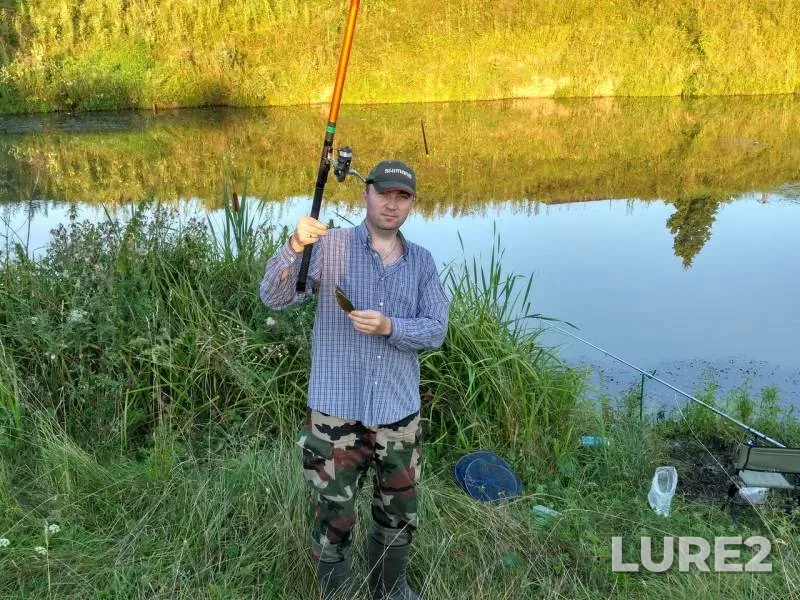 Crucian carp — Moskovskaya oblast, gorodskoy okrug Zaraysk, Aug 06, 2016