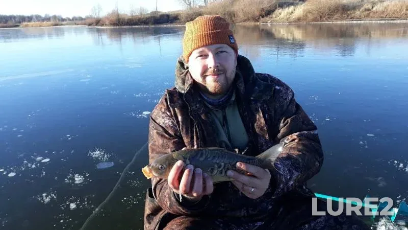 Carp, Crucian carp — Penzenskaya oblast, Nov 17, 2018