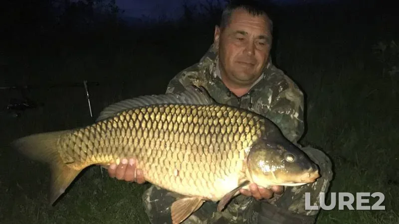Carp — Khalan, Jun 04, 2017