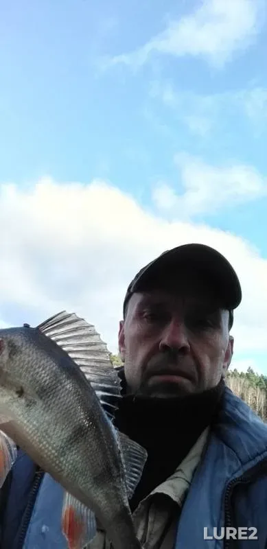 Perch — Katyshka, Nov 12, 2019