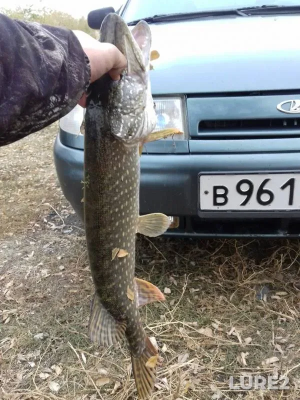 Pike — Glubokaya, Oct 20, 2018