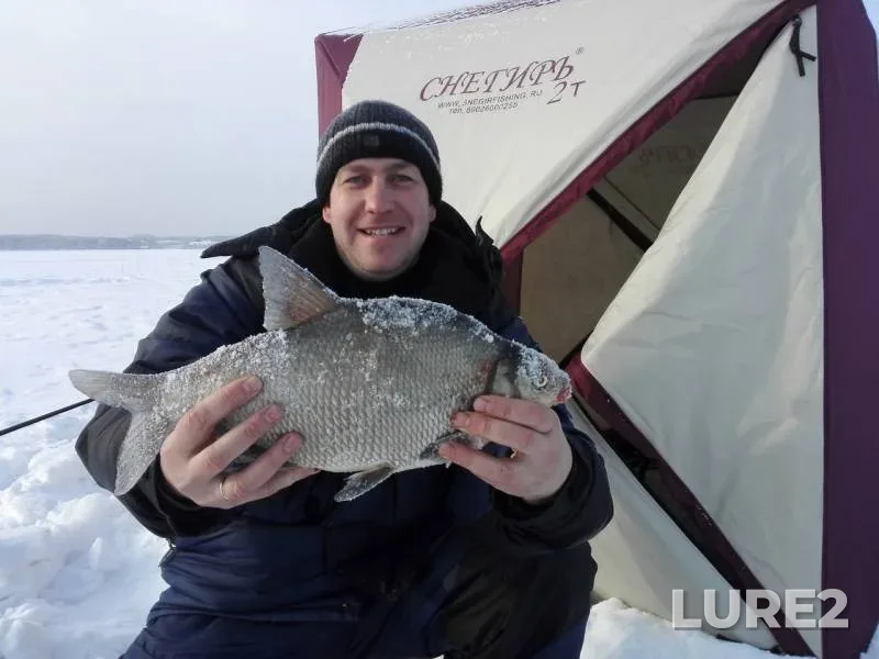 Bream — Chelyabinskaya oblast, Jan 29, 2017