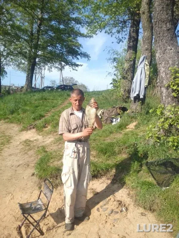 Crucian carp, Silver carp — Іvano-Frankіvska oblast, Jul 18, 2018